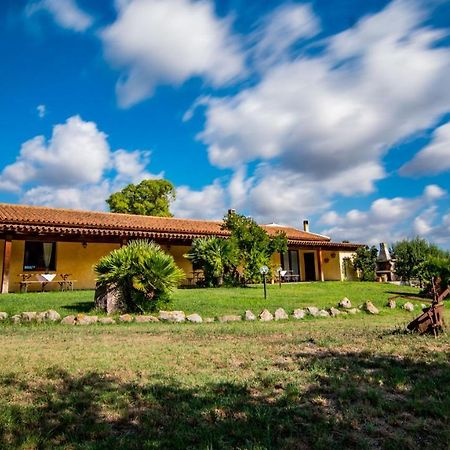 Agriturismo Carrucana Martis ภายนอก รูปภาพ